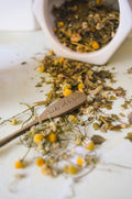 Roman Chamomile