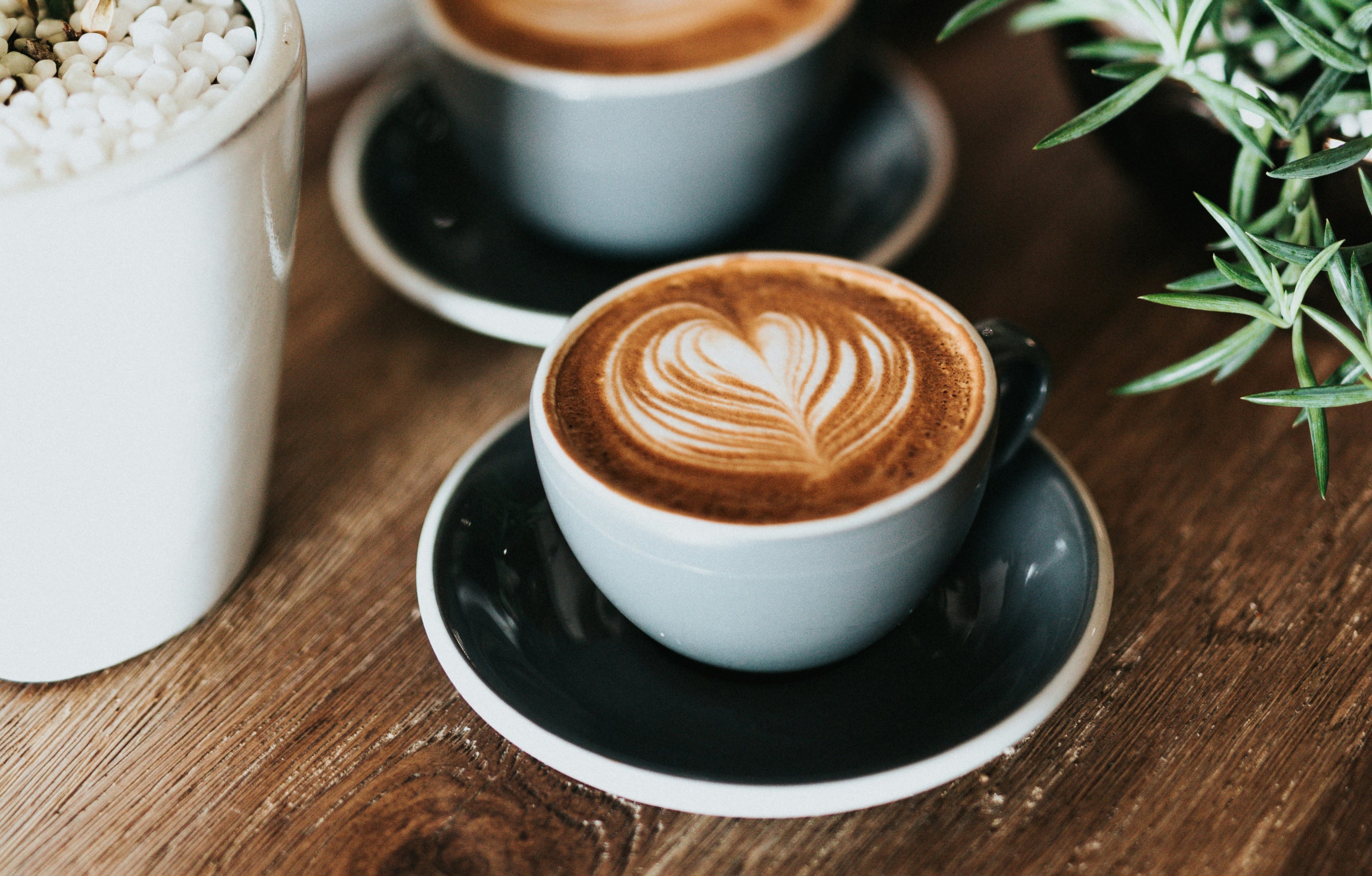 Huckleberry & Creme | Coffee Preorder