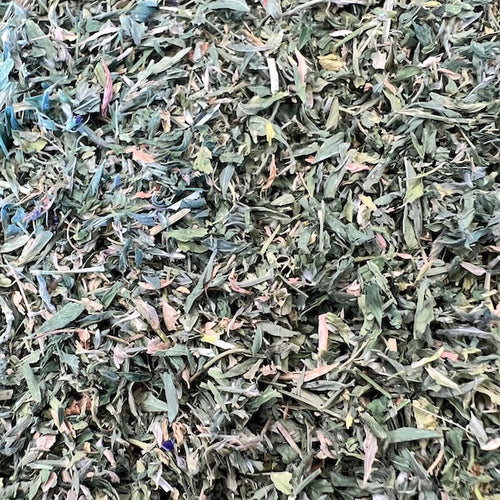 Alfalfa Leaf